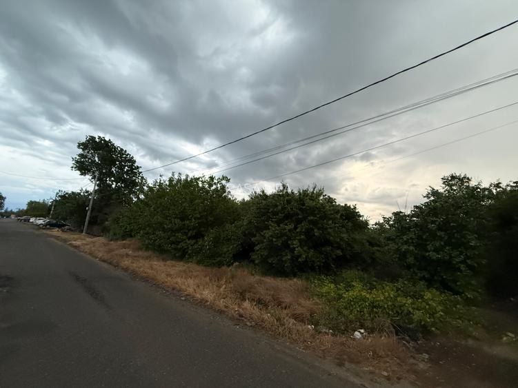 Teren 1000 mp Adunații-Copăceni (Dărăști-Vlașca)-Giurgiu - 10