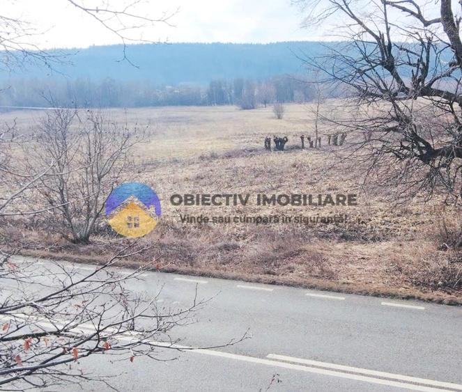 TEREN intravilan 3035 mp – BODEȘTI, judetul Neamț