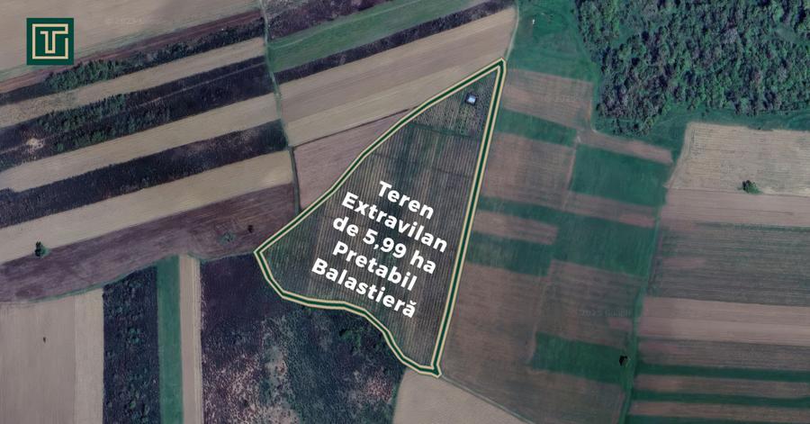 Teren extravilan de 5,99 ha la 200 m de Mureș, ideal pentru balastieră în Ususău