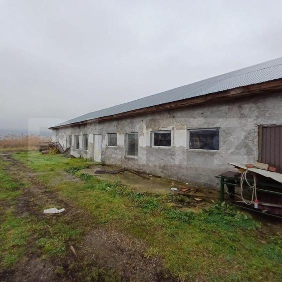 Hala de vanzare in Orheiu Bistritei