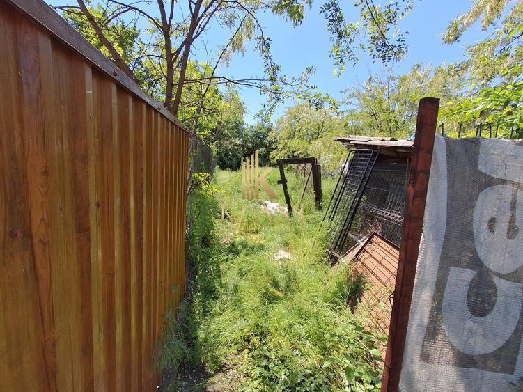 Casa 3 Camere | Voluntari Dragonul Rosu
