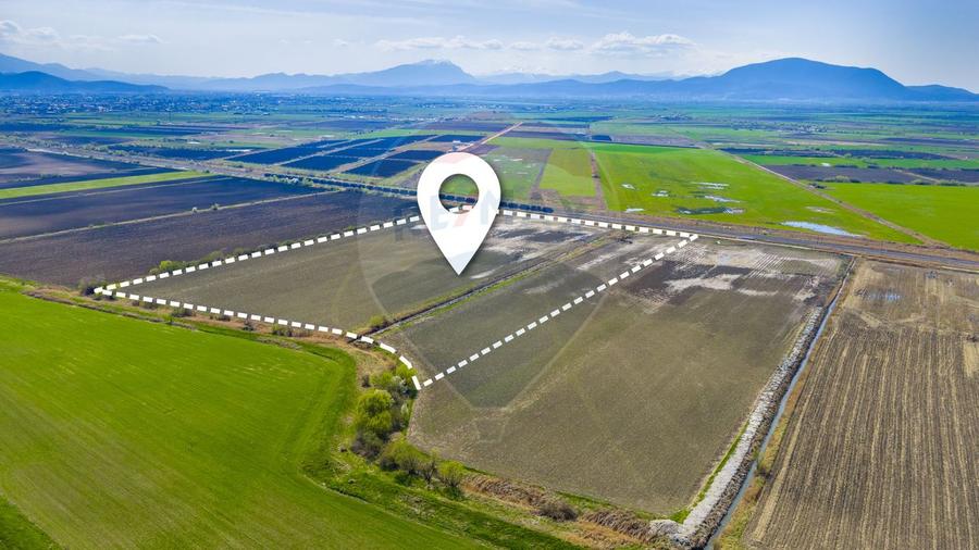 Teren 9,2 Ha Bod |Logistic / Industrial| Doar 5€/mp| Comision 0%