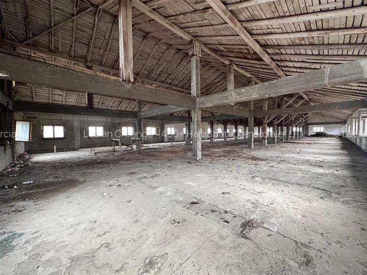 Hala, spatiu comercial, vad, de la 423mp la 1744mp, Vama Albita - 30