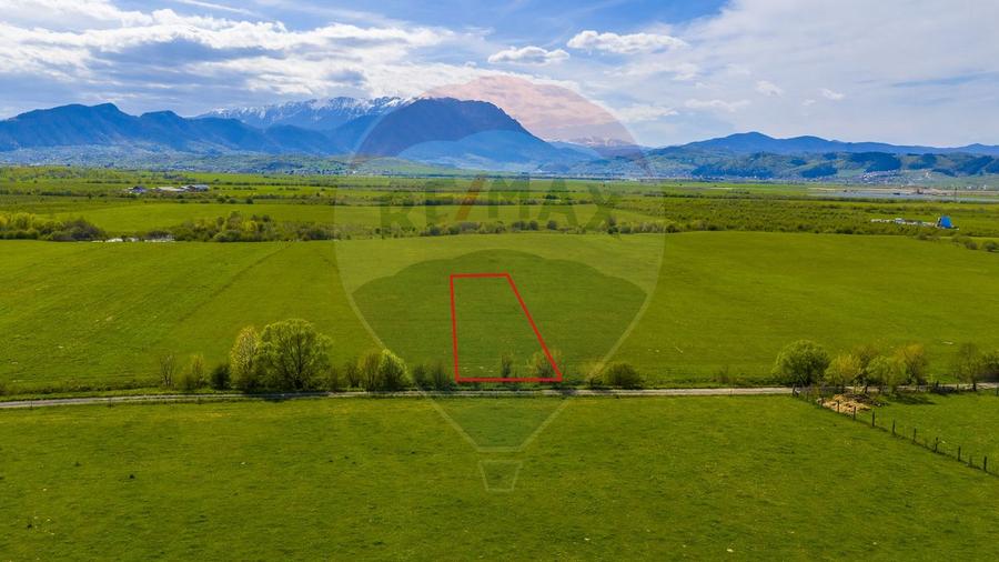 Teren 3000mp de vânzare în Râșnov / Pănicel