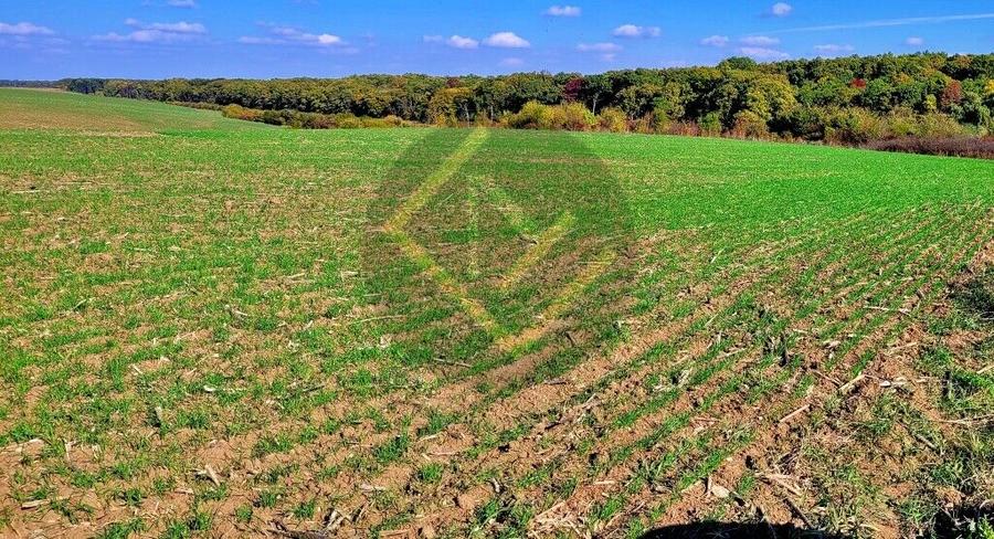 Teren 9Ha -> 16Ha Ha Intravilan , Exit A3 Snagov Ghermanesti Bucuresti-Ploiesti
