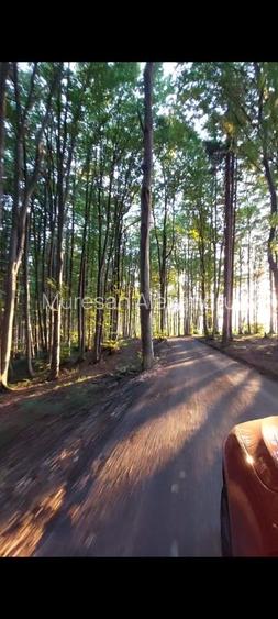 Teren intravilan 600-700 mp | CF individual | Utilități incluse| Monolit Village - 2