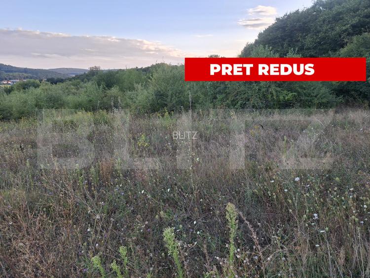 Teren extravilan, 5.100 mp, zona Livezeni