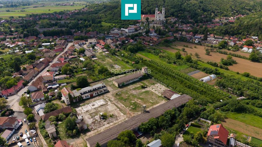 Hală spațioasă în Lipova oportunitate investiție - 16