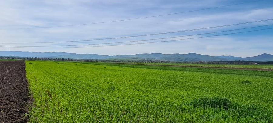 TEREN EXTRAVILAN LANGA FABRICA DE CHERESTEA Holzindustrie Schweighofer - RECI
