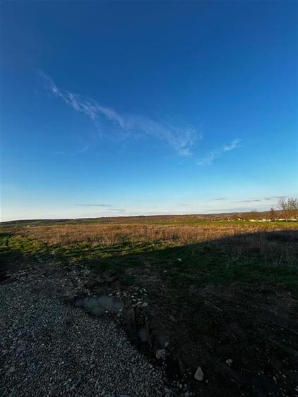 RECO Teren intravilan 1025mp În Paleu