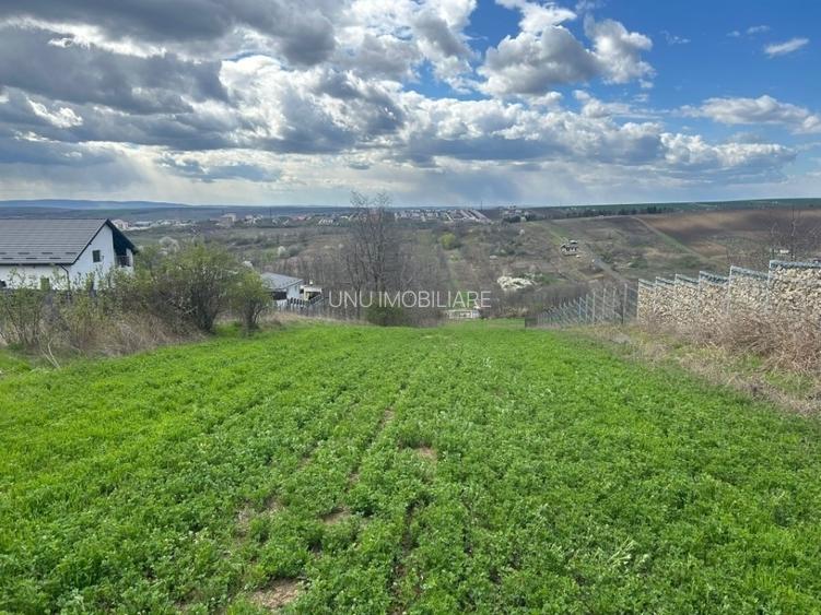 Teren intravilan 3271 mp Valea Lupului, Iași deschidere la asfalt 1 Decembrie - 6