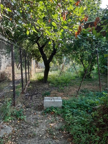 Casă + teren vânzare cartierul Dorobanți / Parcul Marghiloman