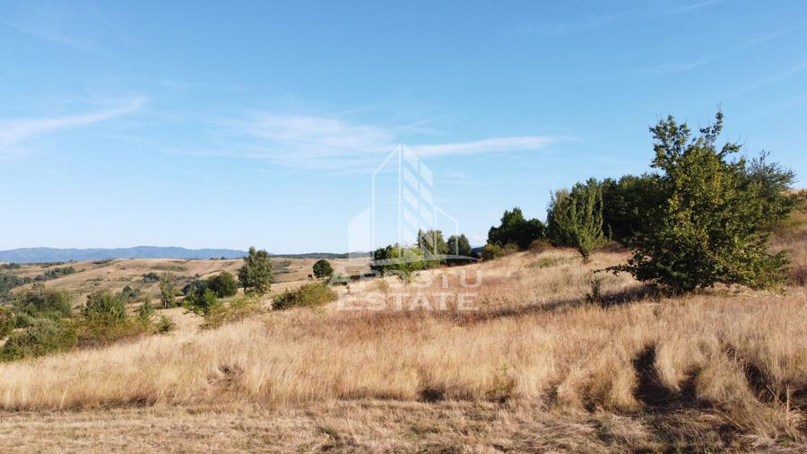 Teren de 50.000mp, priveliste panoramica spre munte si lac, Hunedoara