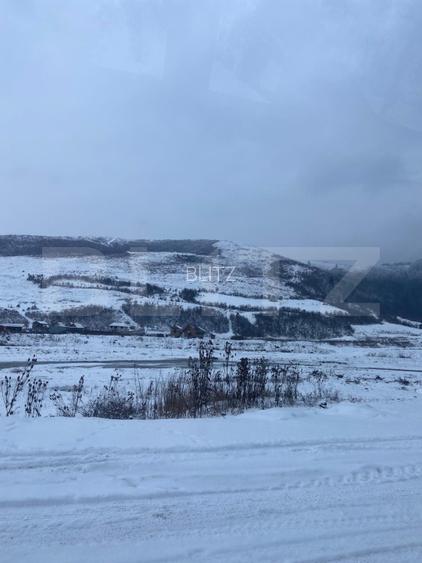 Cabană la munte în inima pădurii la 15 km de Brașov, zona Zizin - 3