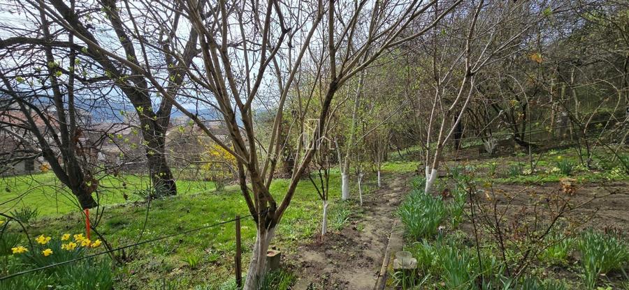 Casă de vânzare zona Viilor, Sighisoara