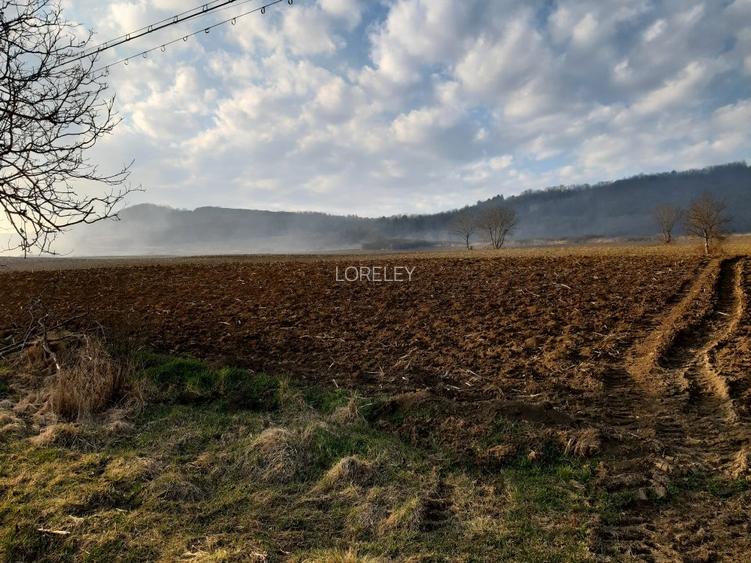 Investitie ideala in Coroi! Constructii cu 4.6 ha teren. - 15