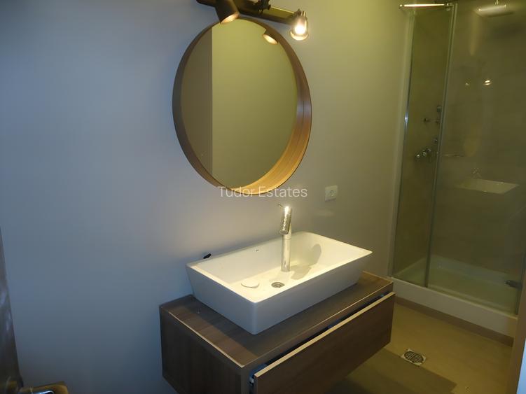 Penthouse spațios cu 3 dormitoare lângă Parcul Herăstrău - 17