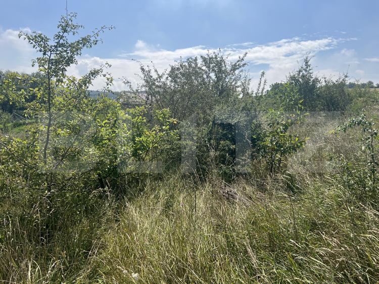 Teren 1400 mp, intravilan – Viile Dealul Mic, zonă liniștită