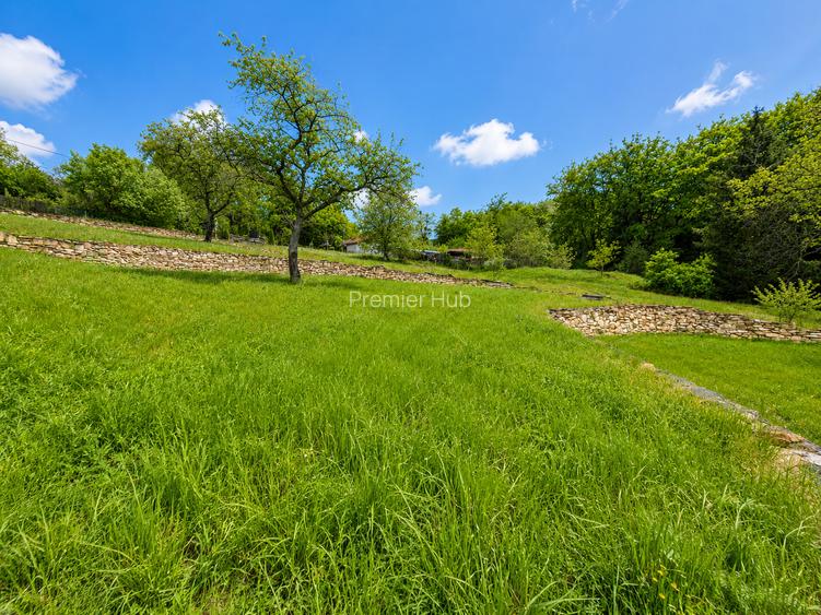 Teren intravilan de vanzare, 3900 mp , front 36 ml,  Faget - 2