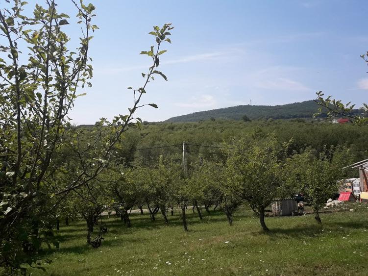 85 ari teren extravilan, intre case, la limita intravilanului Zona Valea Rusului