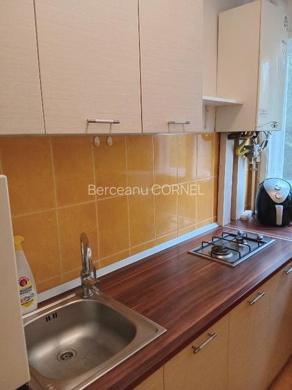 Proprietar,  2 camere, foarte aproaape de iulius Mall - 4