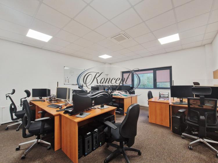 Spatiu profesional cu sala meeting si bucatarie, zona Rompetrol - Calea Turzii