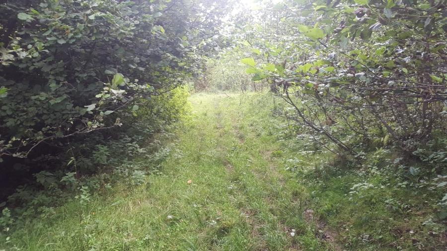 Teren intravilan într-una dintre cele mai frumoase zone montane din România