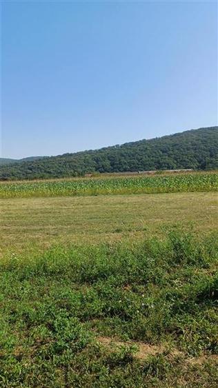 Teren intravilan 2500 mp de vanzare