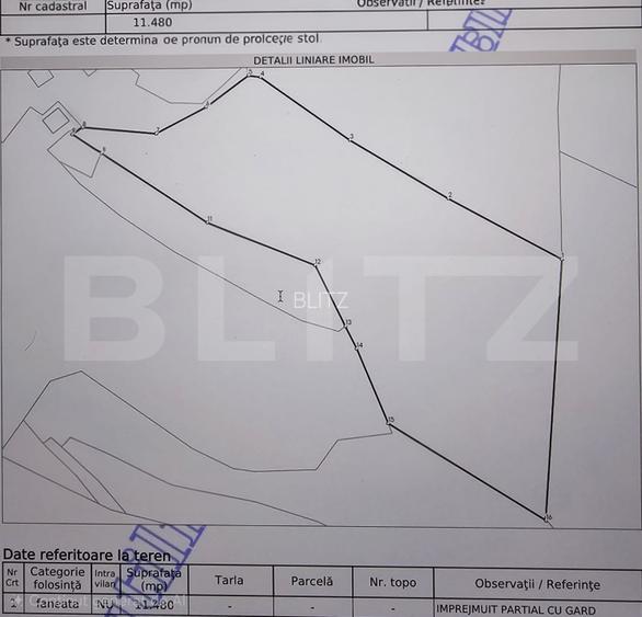 Teren extravilan 11.480 mp cu potențial intravilan – Trâncești, Scărișoara - 2