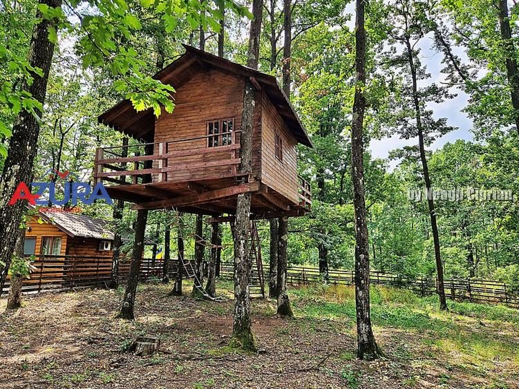Casă de vacanță în pădure, 10 km de Pitești - Babana