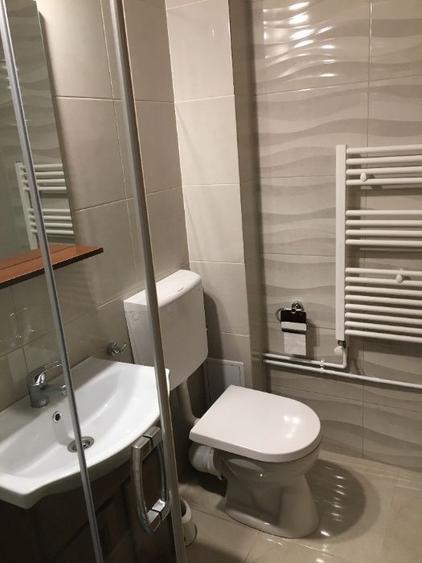 Apartament 1 camera str Paris zona centrala