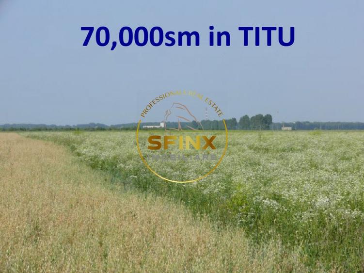Teren Titu Dâmbovița 7 ha