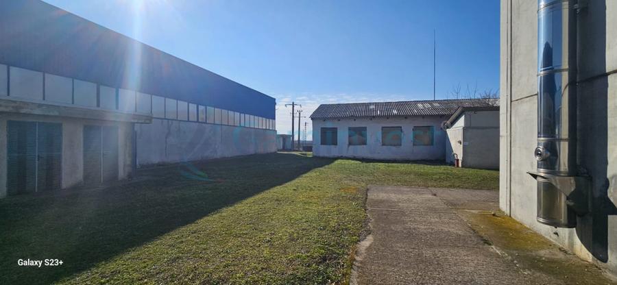 Hală Industrială de vanzare 6500 mp în Madaras la 30 km de Oradea, Bihor