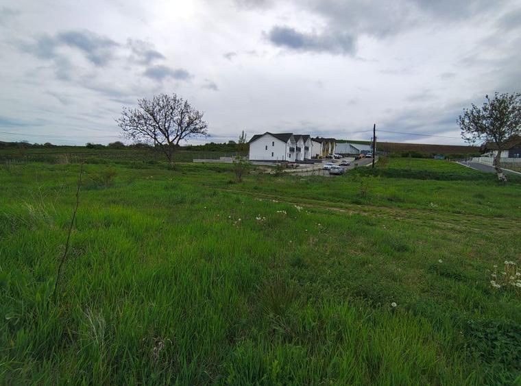 Teren constructie P+M, Sura Mare- Hamba, 717mp, utilitati