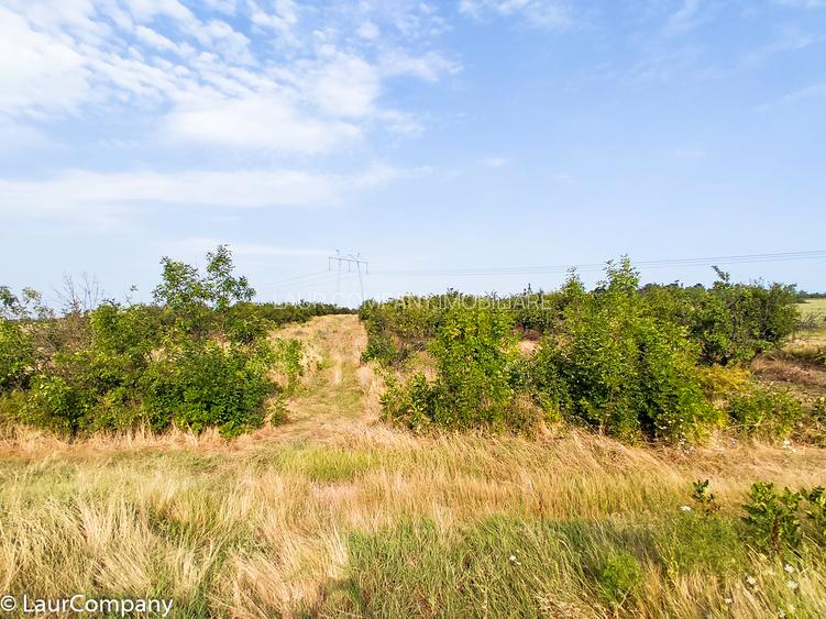 Parcele Teren Extravilan Livada si Pasune Lunca Corbului  Arges - 7