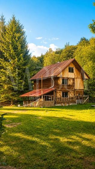 Cabana de vanzare in Marisel