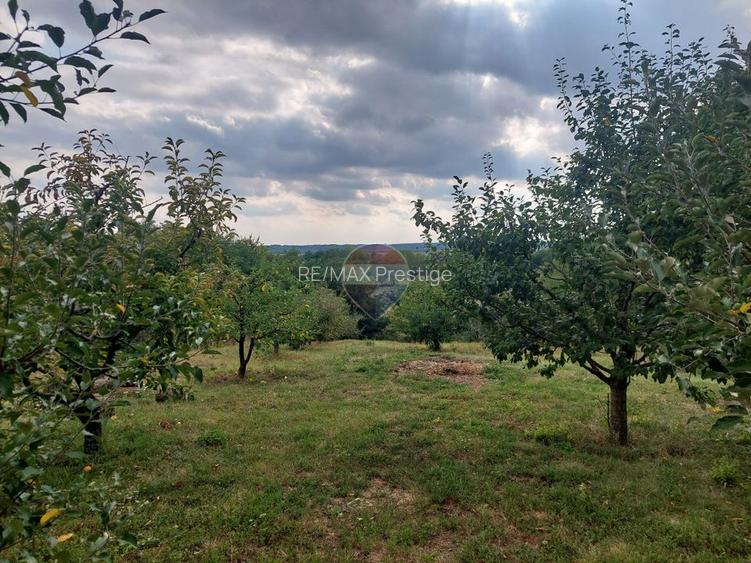 Vanzare - vilă cu 6 camere, teren 3900 mp, Vacaresti, Dambovita