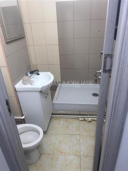 Ap 2 camere, confort 2, Viziru 3, etaj 1, mobilat si utilat, liber - 10