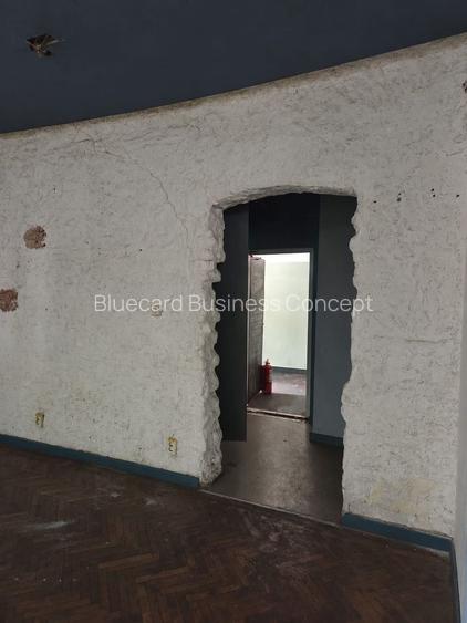 Investment property with character downtown Cismigiu park - 8