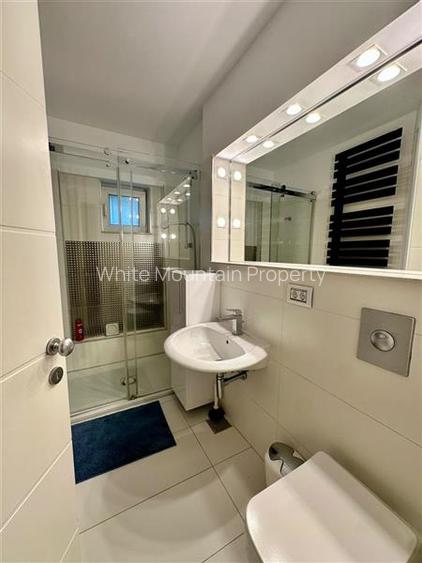 Apartament 4 camere, inchiriere lunga durata, Herastrau - 12