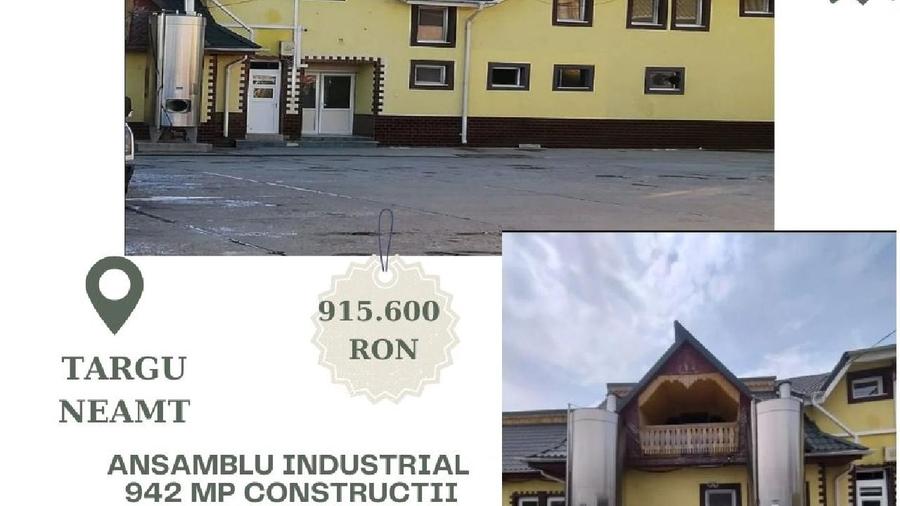 Ansamblu industrial - 942 mp constructii + 3.558 mp teren - Targu Neamt