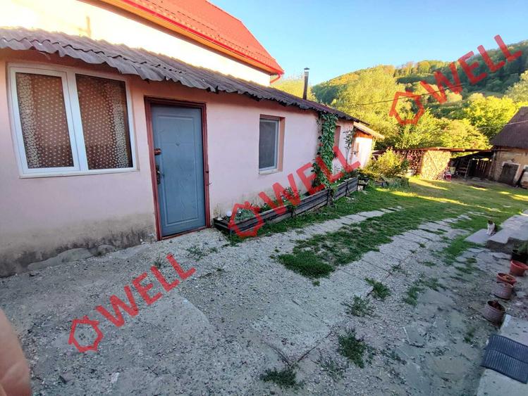 Proprietate deosebită de vânzare în Valea Zălanului!