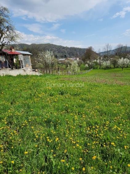 Teren vanzare in comuna Adunati - zona BREAZA - Prahova - 3