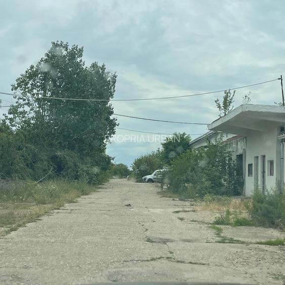 Complex industrial/Ferma de vânzare | Orțișoara, jud. Timiș - 3