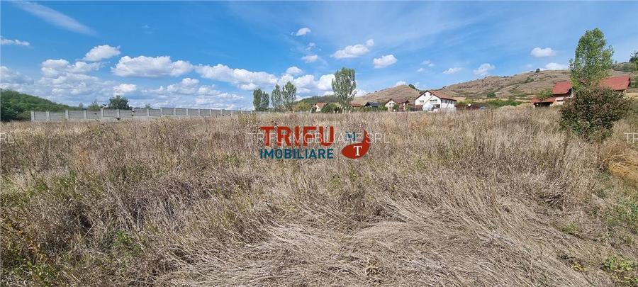 Teren intravilan 2100 mp de vanzare in Teleac la asfalt cu toate utilitatile - 2