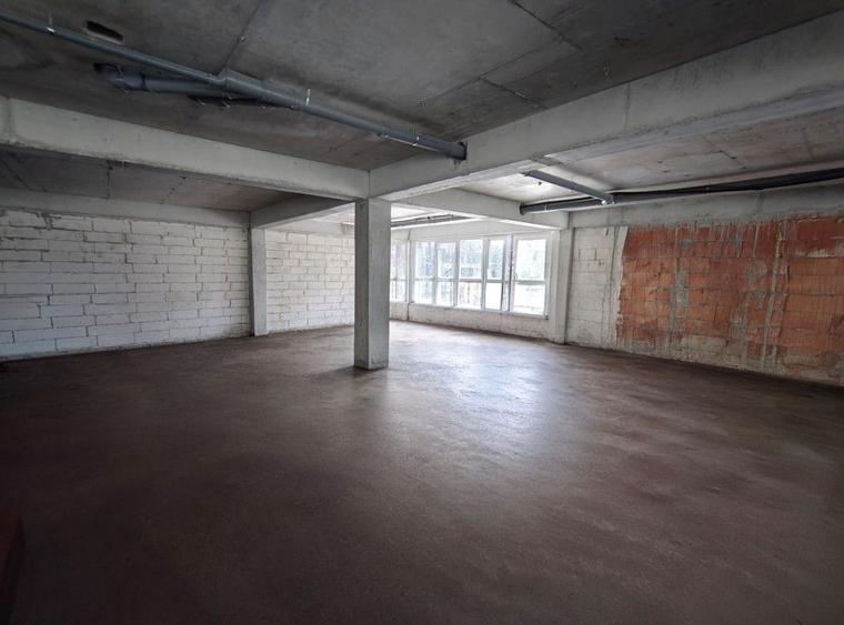 Spatiu Comercial 305 mp+ gradina 178mp, Bieltz/Turnisor
