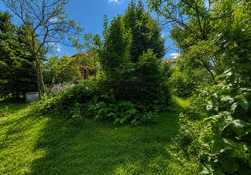 Vila Boutique cu 2 garaje, gradina si piscină - Centrul Orasului !