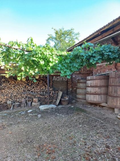 Casa de vânzare zona Cheile Nerei - jud. Caraș-Severin - 3