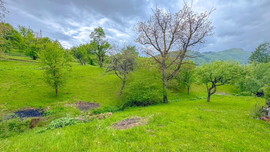 Teren 1500mp, intravilan cu utilitati, in proximitatea complexului Vila Bran