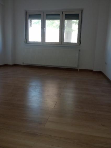 Proprietar,visavis de moll
